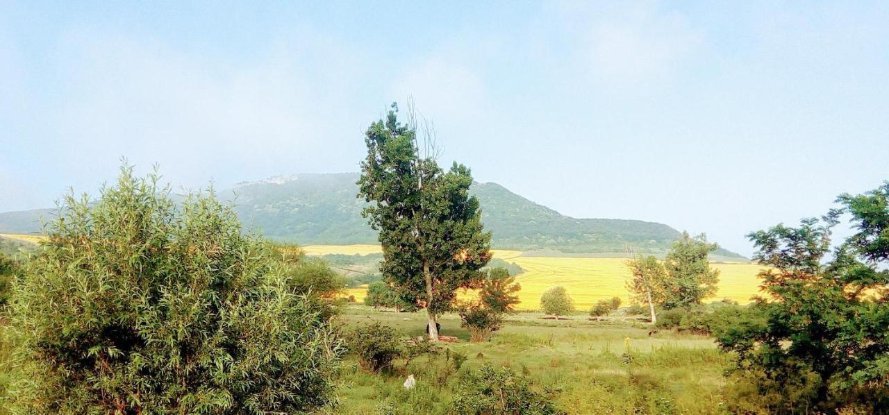 Гостевой Дом У Снежаны Provadiya Dış mekan fotoğraf